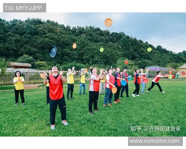 聚焦飞盘运动：探讨北京飞盘队员的个人能力与团队协作发展